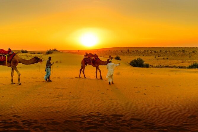 Agafay Desert Sunset, Camel Ride and Dinner from Marrakech - Leaving Marrakech: pickup, ride comfort, and why timing matters
