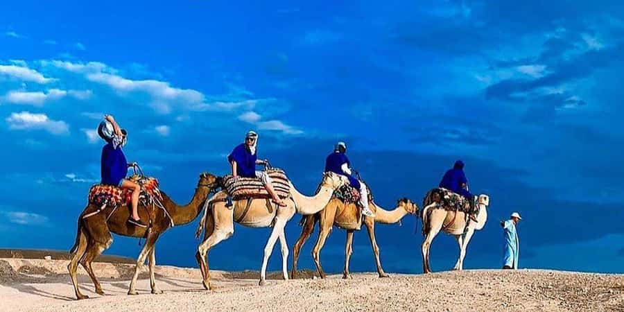 Agafay: Half-Day Rocky Desert Quad & Camel Ride with Lunch - Practical Tips That Make the Day Smoother