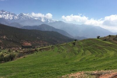 All Inclusive Atlas Mountains & 5 Valleys Day Tour from Marrakech - Ourika Valley: waterfalls, greenery, and the argan oil co-operative stop