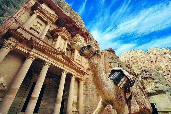 Amman Petra Full-Day Trip - Timing: How Long You’ll Be in the Car and in Petra