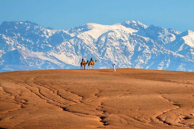 Atlas Mountains and Three Valleys & Waterfalls - Villages Marrakech Day Trip - Price and Value: What $15.67 Really Buys in Marrakech