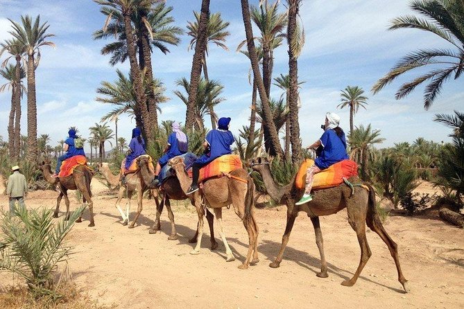 ATV Quad biking in Marrakech desert palmgrove - Safety and First-Timer Comfort on 300cc Quads