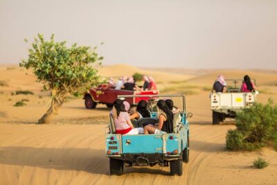 Authentic Safari in Vintage Land Rover with Traditional Dinner - Inside the Dubai Desert Conservation Reserve (Wildlife Over Thrills)