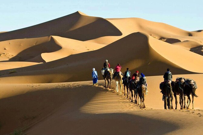 Basic Desert 3 Days 2 Nights from to Marrakesh - Key Highlights You’ll Actually Feel