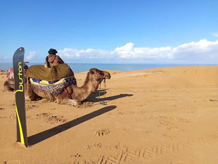 Best Agadir Desert Adventure: Quad Camel Sandboarding & BBQ - Who this tour suits best