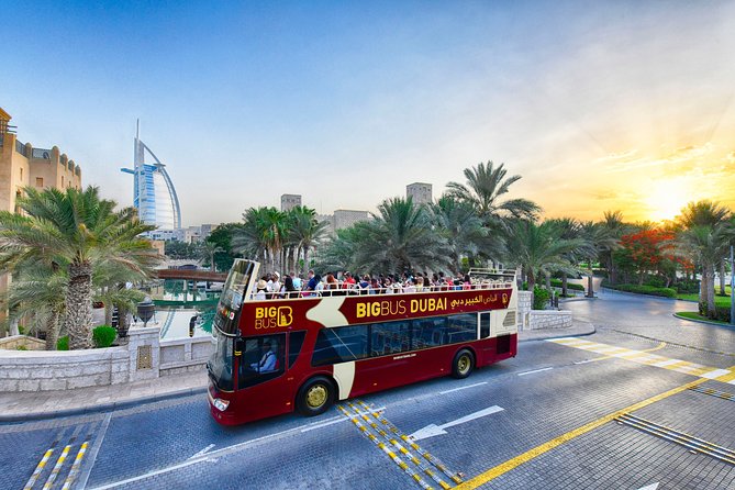 Big Bus Dubai Open Top Night Tour - Who should book this night bus, and who should skip it