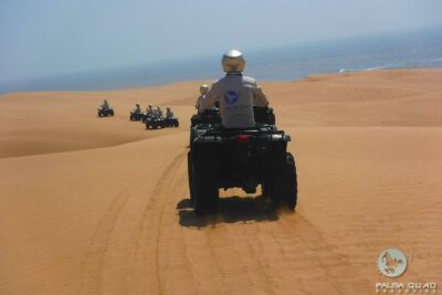 Big Cap Sim dunes and forest 3 hours tour. - Riding Cape Sim: Dunes, Beach Terrain, and That Big-Open Feeling