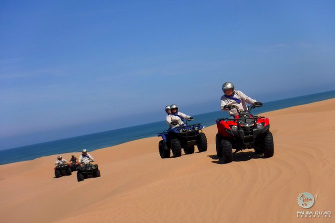 Big Cap Sim dunes and forest 3 hours tour. - Who This Tour Suits Best (And Who Should Rethink It)