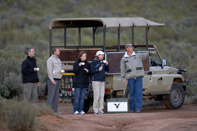 Big Five Game Reserve Wildlife Safari from Cape Town - Aquila From Cape Town: What Makes This Day Trip Work