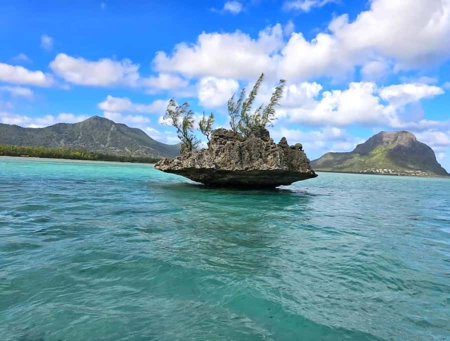 Black River: Swim with Dolphin Speed Boat Tour with lunch - Crystal Rock snorkeling near Le Morne: reef time with real conditions