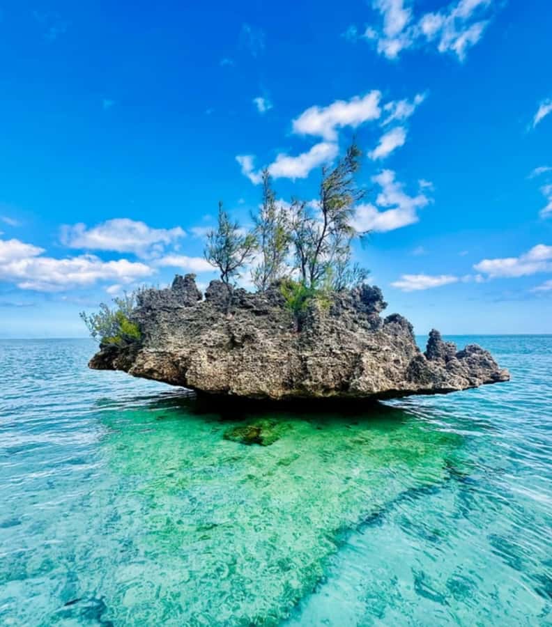 Black River: Swim with Dolphin Speed Boat Tour with lunch - Île aux Bénitiers lunch and beach time: a real meal, not a snack break