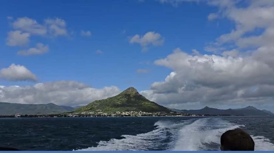 Black River: Swim with Dolphin Speed Boat Tour with lunch - Should you book the Black River dolphin speedboat + BBQ?