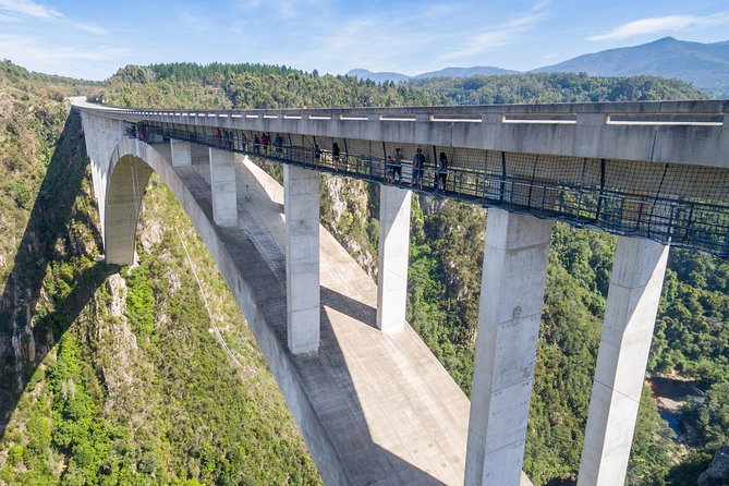 Bloukrans Bungy, the worlds best bungy jump! - Why Bloukrans Bungy Hits Hard on the Garden Route