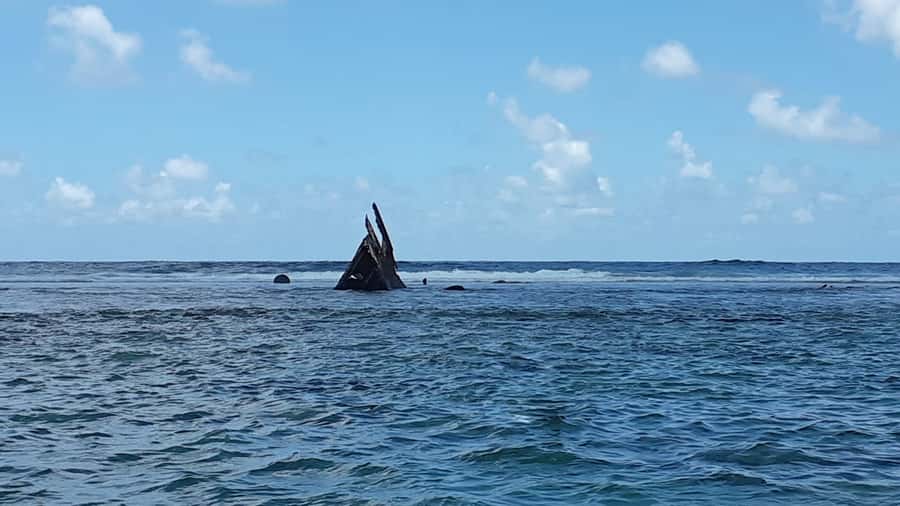 Blue Bay: Half-Day Snorkeling Trip with Creole Picnic Lunch - Blue Bay Marine Park in 4 hours: what you really get
