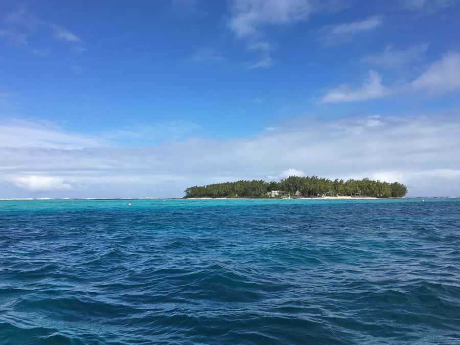 Blue Bay: Half-Day Snorkeling Trip with Creole Picnic Lunch - First snorkeling stop: reef life, sometimes a wreck
