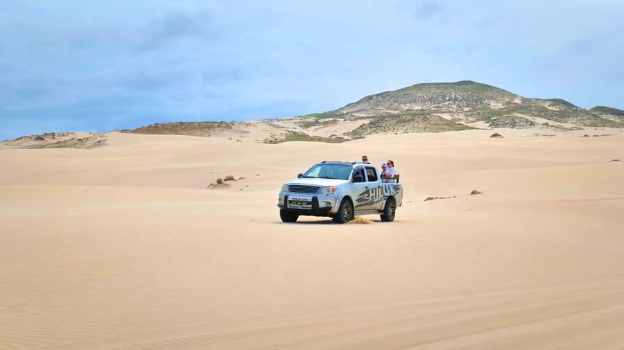 Boa Vista: Shark, Turtles, Cave, Sandboarding & Tasting Tour - Key highlights worth waking up for