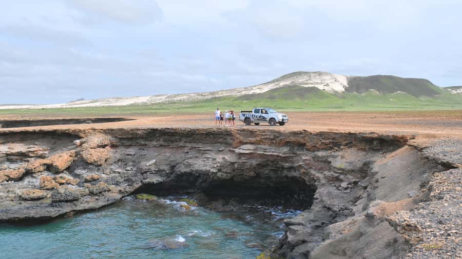 Boa Vista: Shark, Turtles, Cave, Sandboarding & Tasting Tour - Shark Bay: lemon shark nursery and how to spot them with better odds