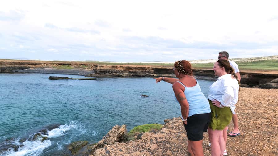 Boa Vista: Shark, Turtles, Cave, Sandboarding & Tasting Tour - Santa Monica beach: unspoiled walking time that feels like a reward