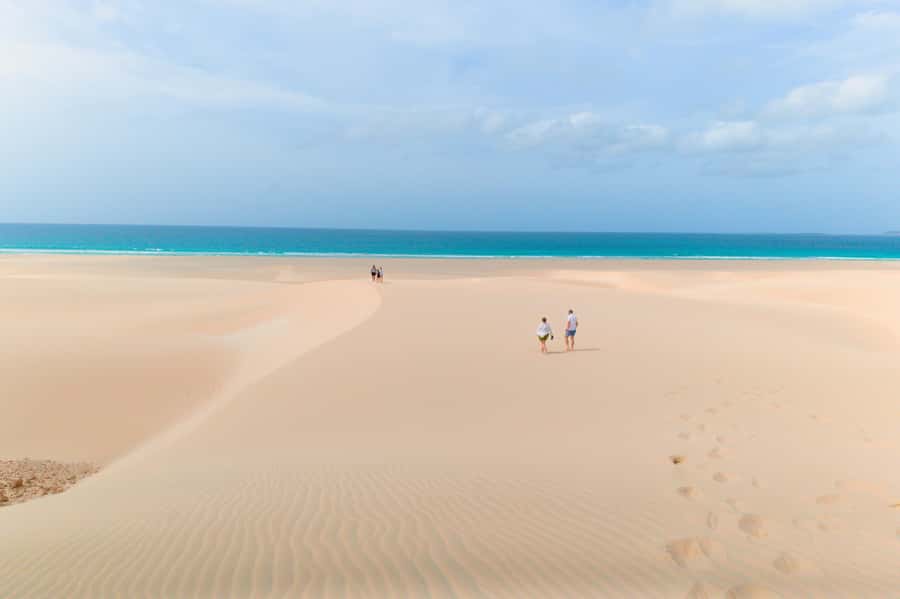 Boa Vista: Shark, Turtles, Cave, Sandboarding & Tasting Tour - Price value: why $70 can be fair on this route