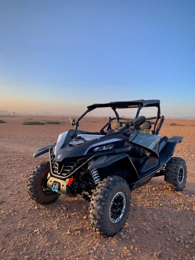 Buggy Marrakech Desert and Palmerie - Key things to know before you go