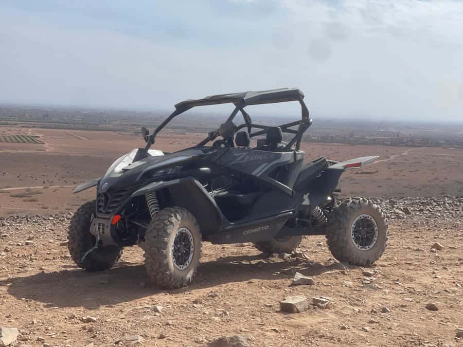 Buggy Marrakech Desert and Palmerie - Why the Palmerie Desert Combo Works So Well