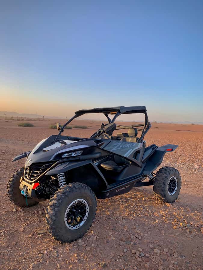 Buggy Marrakech Desert and Palmerie - Pickup, Small-Group Rhythm, and What 3 Hours Feels Like