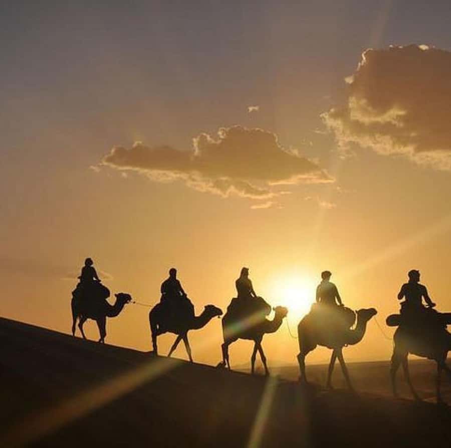 Buggy ride with camels and dinner show in agafay desert - Key Points Before You Go
