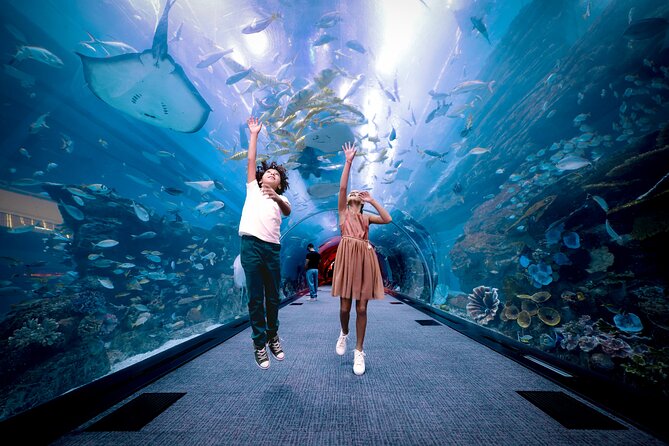 Burj Khalifa At the Top & Dubai Aquarium Combo Entrance Tickets - How long it takes in real life (and how to fit it into a day)
