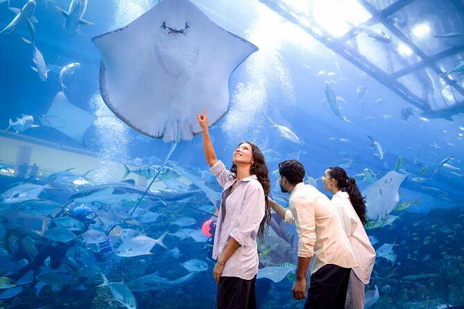 Burj Khalifa At the Top & Dubai Aquarium Combo Entrance Tickets - Value for $91: is it a good deal?