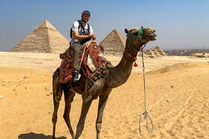 Cairo By Big Bus full day From Hurghada (Pyramids-sphinx-Egyptian Museum-Lunch) - Egyptian Museum in El-Tahrir: Fast, Guided, and Built for Big Names