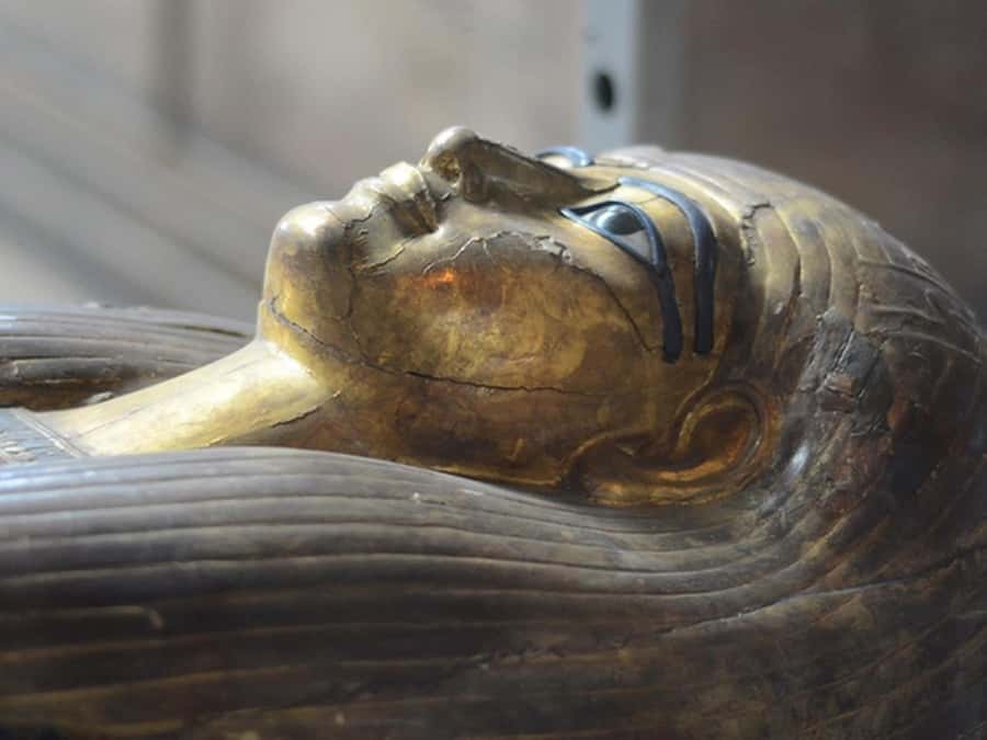 Cairo: Egyptian Museum, Citadel, and Old Cairo Guided Tour - Saladin’s Citadel and Muhammad Ali Mosque: Fort Views and Ottoman Grandeur