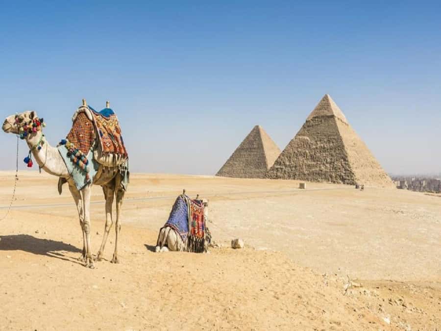 Cairo: Giza Pyramids, Sakkara & Dahshur All-Inclusive Tour - What to Pack (and What to Watch Out For)