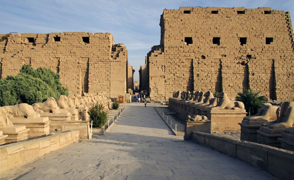 Cairo: Private Luxor Day Tour with Entrance fees by Flights - How the guides and drivers shape your Luxor day