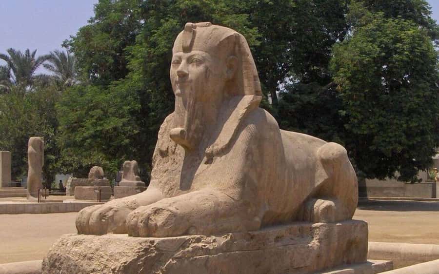 Cairo: Saqqara, Memphis, and Dahshur Day Trip with Lunch - Lunch on the clock: included meal, limited drink options