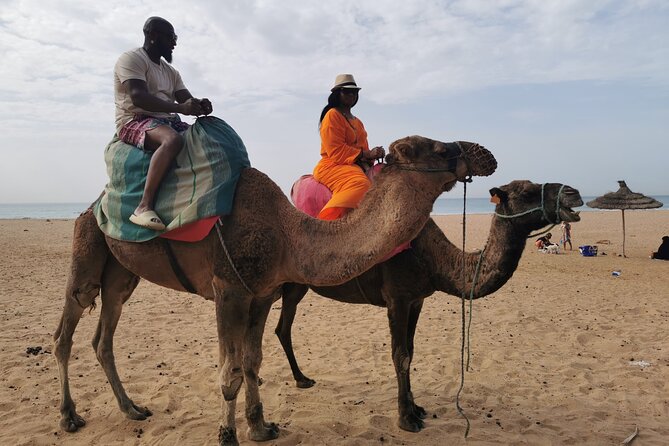 Camel ride in Tanger - The 30-Minute Camel Ride on the Beach: The Part You Came For