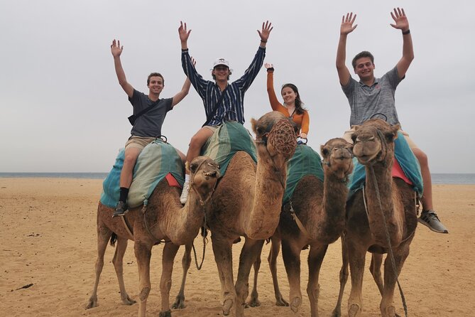 Camel ride in Tanger - Your Guide in Tangier: Language and the Human Touch