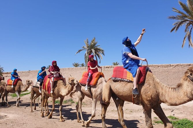 Camel ride Marrakech - Why This Sunset Camel Ride Works So Well Outside Marrakech