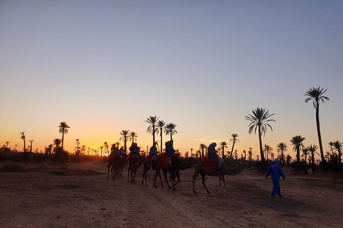 Camel ride Marrakech - Getting to Agafay (and Why the Meeting Point Matters)