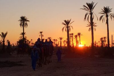 Camel ride Marrakech - Pickup, Timing, and How the 3 Hours Usually Fly By