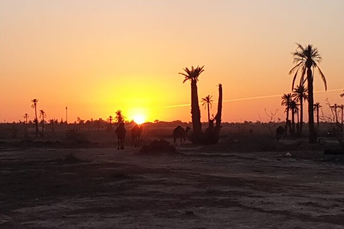 Camel ride Marrakech - Traditional Clothing and the Ten-Minute Culture Bonus