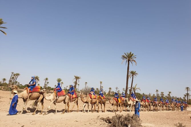 Camel ride Marrakech - Mint Tea in a Tent: The Part That Makes It Feel Local