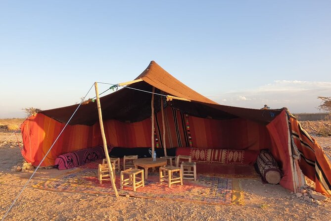 Camel ride Marrakech - Photos, Phone Stops, and How to Get Better Results