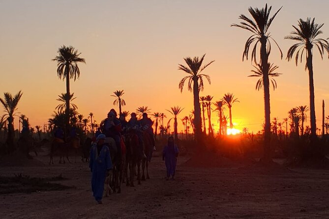 Camel ride Marrakech - Pickup, Timing, and How the 3 Hours Usually Fly By