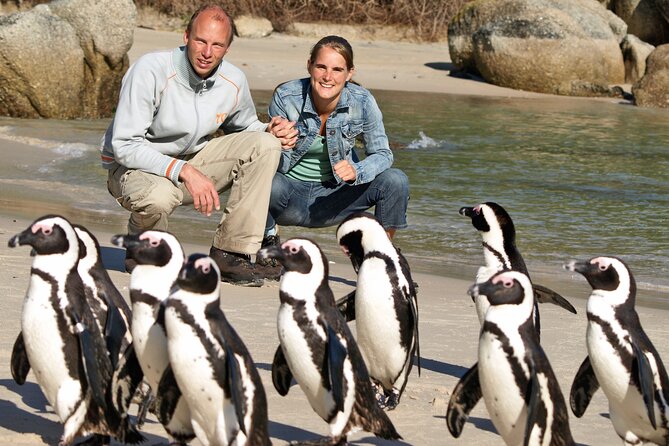 Cape of Good Hope & Penguins Small Group Tour from Cape Town - Pickup, Start Time, and the 15-Seat Reality
