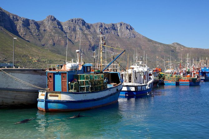 Cape Point Sightseeing Tour including Cape of Good Hope full day from Cape Town - Cape Peninsula in One Day: what you really see