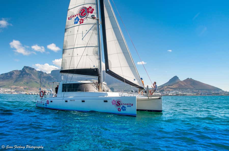 Cape Town: 1.5-Hour Luxury Sunset Cruise with Prosecco - Key things to know before you go