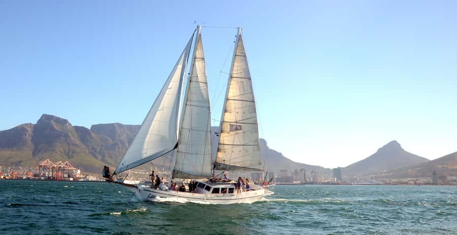 Cape Town: 1-Hour Pre-Sunset Champagne Cruise - Should you book the 1-hour pre-sunset champagne cruise?