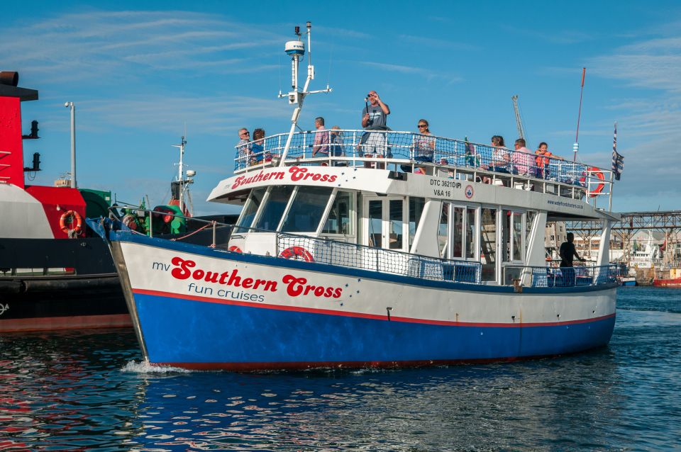 Cape Town: 30 Minute Harbour Boat Cruise with Seal Watching - Why This 30-Minute Seal Cruise Works at the V&A Waterfront