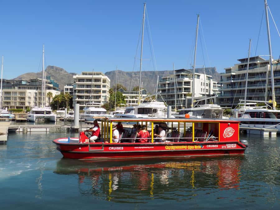 Cape Town: 30 Minute Seal-Watching Harbour Cruise - A 30-Minute Seal Search at the V&A Waterfront