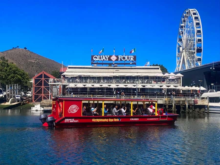 Cape Town: 30 Minute Seal-Watching Harbour Cruise - What You’ll See Along the Harbour (Seals, Ships, and Docks)